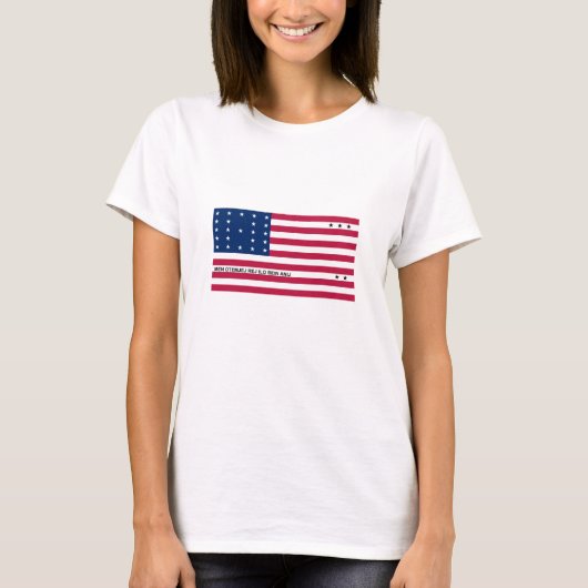 愛国ビキニ環礁の旗 Tシャツ (正面)