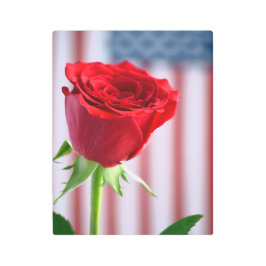 愛国主義のメタルウォールアート メタルプリント