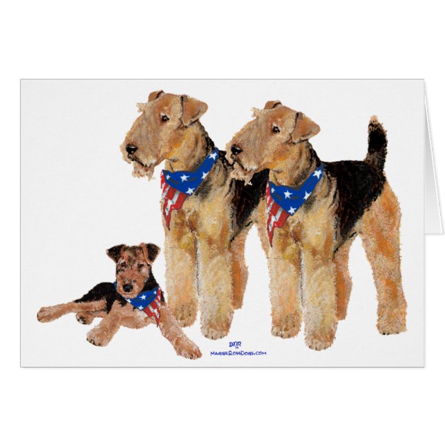 愛国国旗トリオ (正面横)