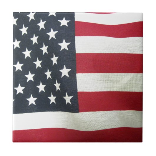 愛国国旗 タイル (正面)