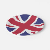 愛国国統一された国旗 ペーパープレート (アングル)