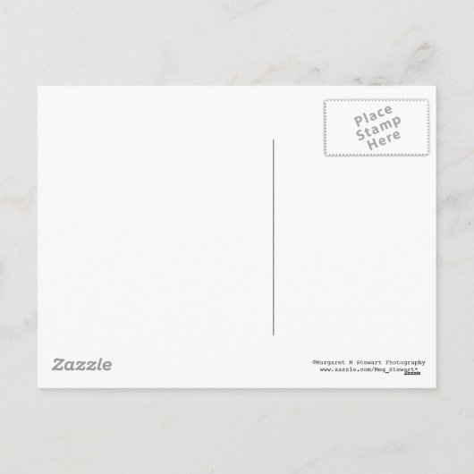 愛国心が強いクリスマス シーズンポストカード (裏面)