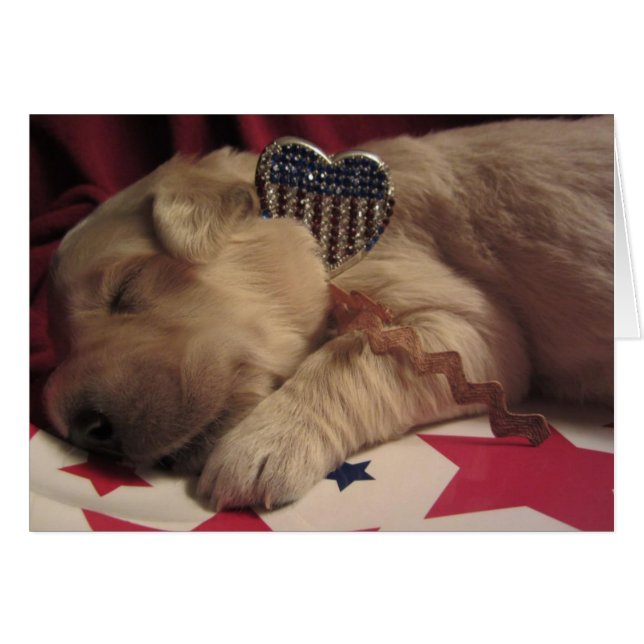 愛国心が強いルーシー (正面横)