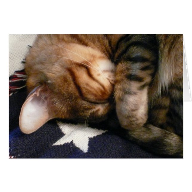 愛国心が強い昼寝 (正面横)