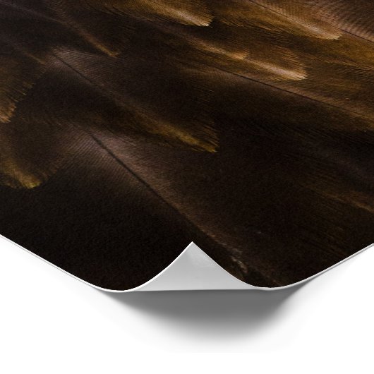 愛国心に富んだ大人のアメリカのハゲのワシ ポスター (角)