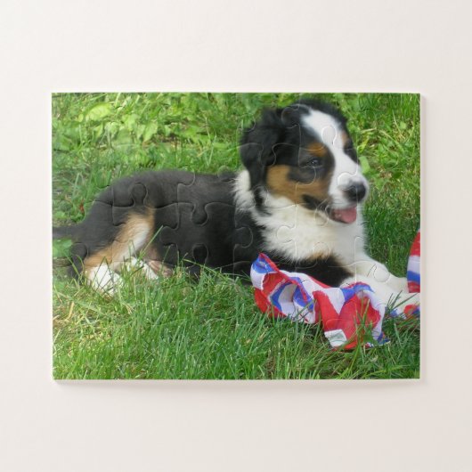 「愛国心のあるブリン」 ジグソーパズル (横)