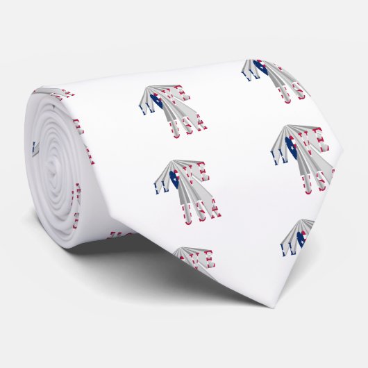 愛国心の高まり: 私は米国が好き - 視点アート ネクタイ (ロール)