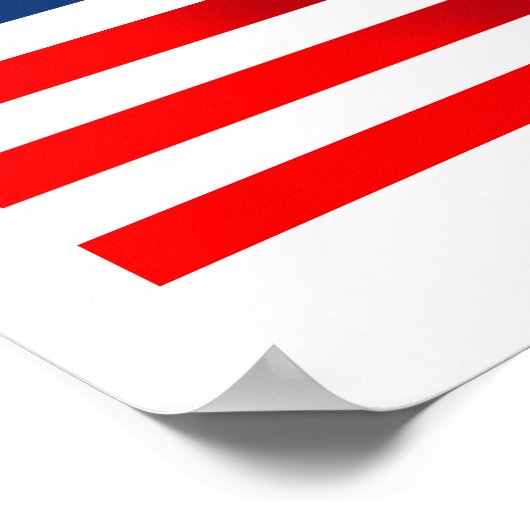 愛国心 ポスター (角)