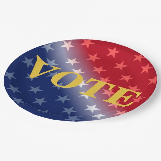 愛国投票カッコいい投票者投票カスタム ペーパープレート (アングル)