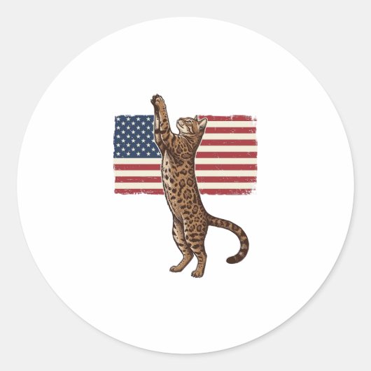愛国猫アメリカ国旗ビンテージ風ベクター デザイン_ ラウンドシール (正面)
