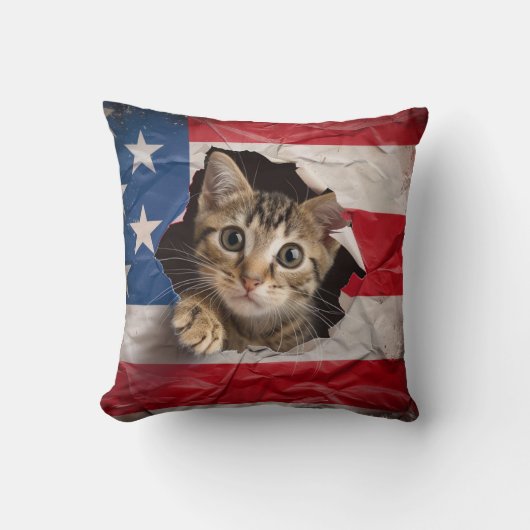 愛国的お祝い クッション (正面)