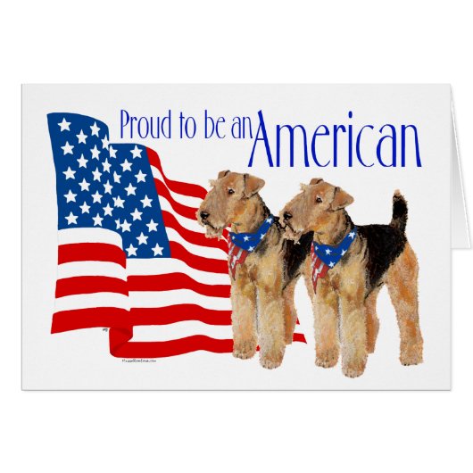 愛国的なアメリカのアイレダレス諸島 (正面横)