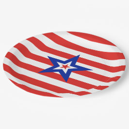 愛国的なアメリカのスター赤と白オンストライプズ ペーパープレート