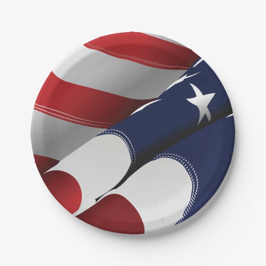 愛国的なアメリカ国旗のデザインスターとストライプ ペーパープレート (正面)