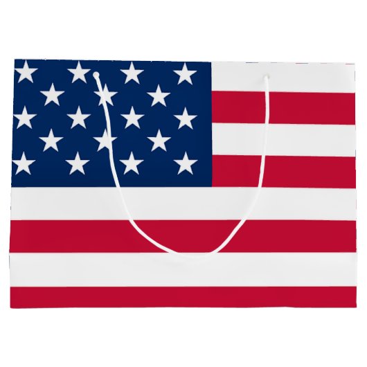 愛国的なアメリカ国旗の抱き枕 ラージペーパーバッグ (裏面)