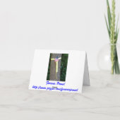 愛国的なアメリカ国旗/軍隊メモカード カード (裏面)