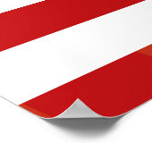 愛国的なカモフラージュパターン ポスター (角)