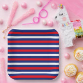 愛国的なストライプ赤白青 ペーパープレート (パーティー)