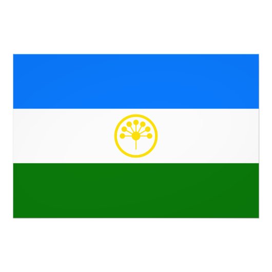 愛国的なバシコルトスタン共和国旗 フォトプリント            (正面)