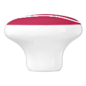 愛国的なビキニ環礁の旗 セラミックノブ (側面)