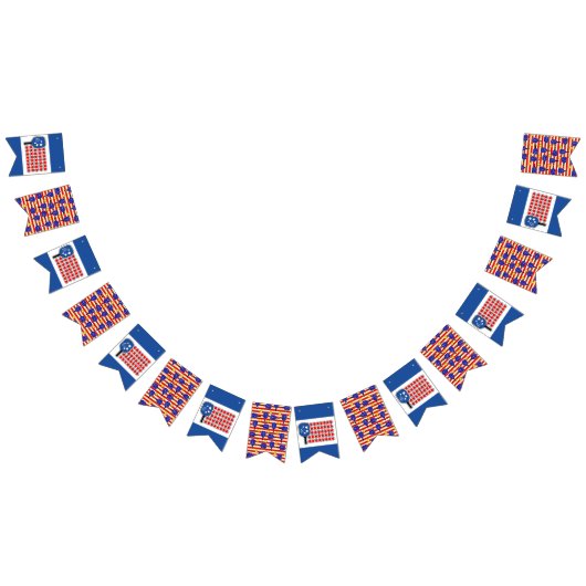 愛国的なピックボール赤白青アメリカ国旗 バンティングフラッグ (全)