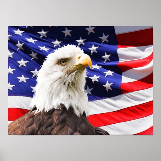 愛国的なポスター ポスター (正面)