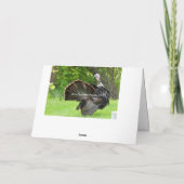 愛国的な七面鳥の歩行 カード (裏面)