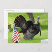 愛国的な七面鳥の歩行 ポストカード (正面/裏面)