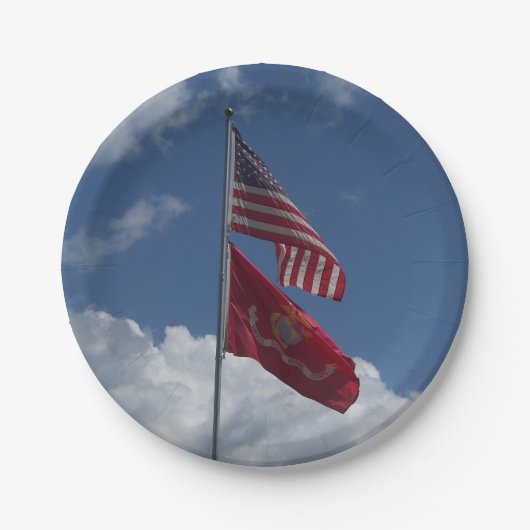 愛国的な旗と青い空 ペーパープレート (正面)