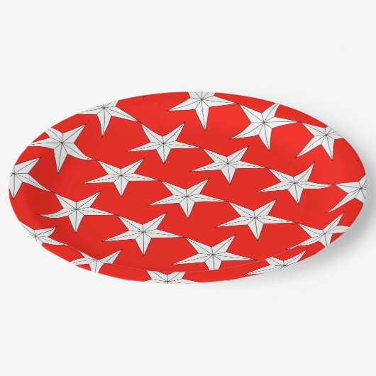 愛国的な白スターズオンレッドフィールド紙プレート ペーパープレート (アングル)