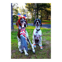 愛国的な祝祭パーティーの犬たち