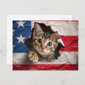 愛国的な祝賀 ポストカード (正面/裏面)