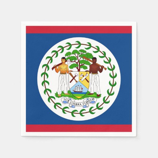 愛国的な紙ナプキンとベリーズ国旗 スタンダードカクテルナプキン (正面)