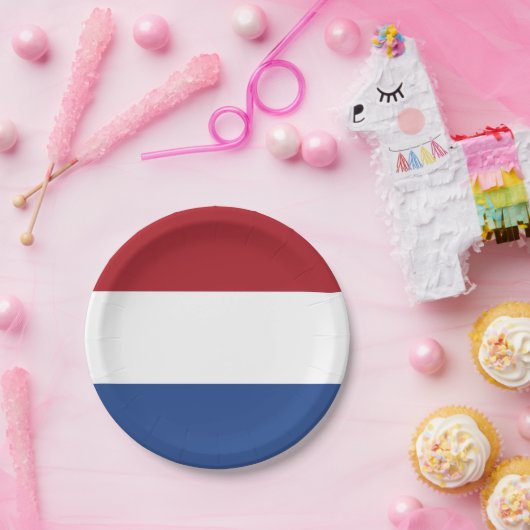 愛国的な紙プレートとオランダの国旗 ペーパープレート (パーティー)