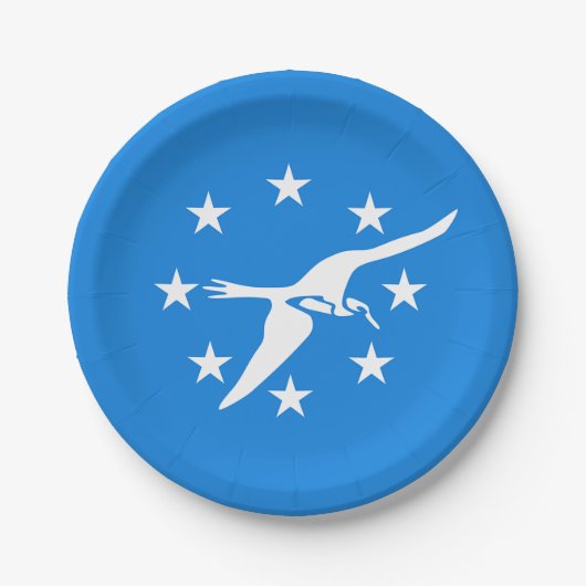 愛国的な紙プレートとコーパスクリスティの国旗 ペーパープレート (正面)