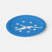 愛国的な紙プレートとコーパスクリスティの国旗 ペーパープレート (アングル)