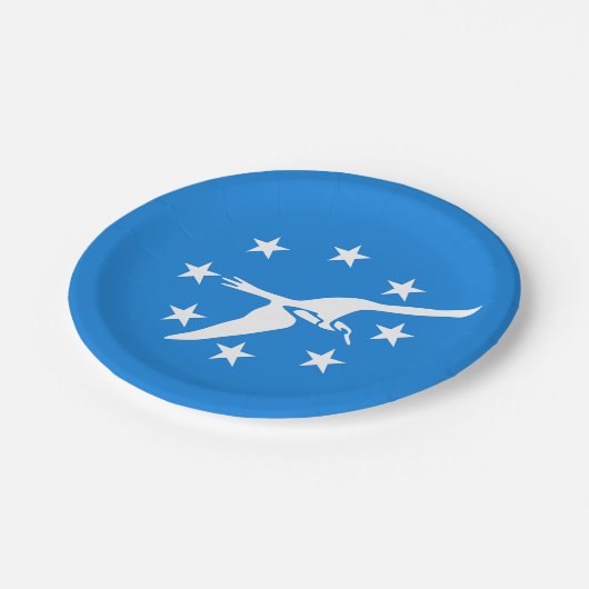 愛国的な紙プレートとコーパスクリスティの国旗 ペーパープレート (アングル)