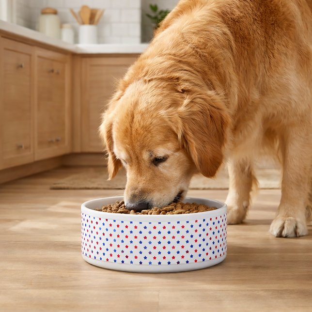 愛国的な赤と青の星柄 ボウル (A dog bowl with a red and blue star pattern.)