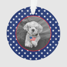 愛国的な赤白青写真名DATE記念 オーナメント