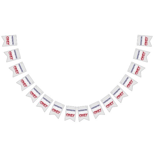 愛国的な雰囲気のみ星とストライプUSA おもしろい バンティングフラッグ (全)