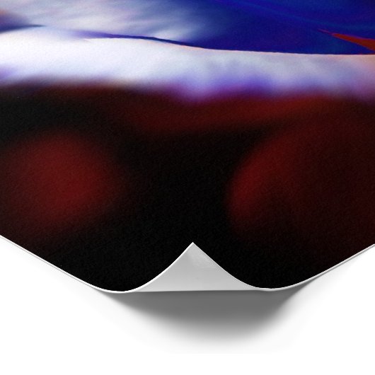 愛国的な ポスター (角)