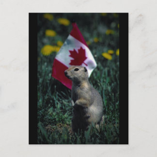 愛国的な ポストカード