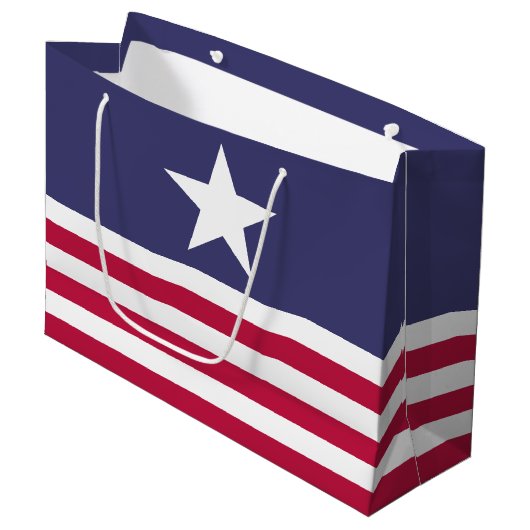 愛国的アメリカスタイル ラージペーパーバッグ (正面アングル)