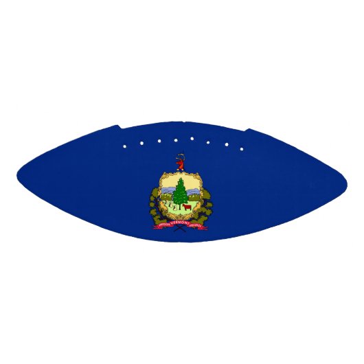 愛国的アメリカンフットボールバーモント旗 アメリカンフットボール (パネル)