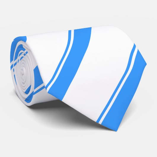 愛国的アルタイ共和国国旗 ネクタイ (ロール)