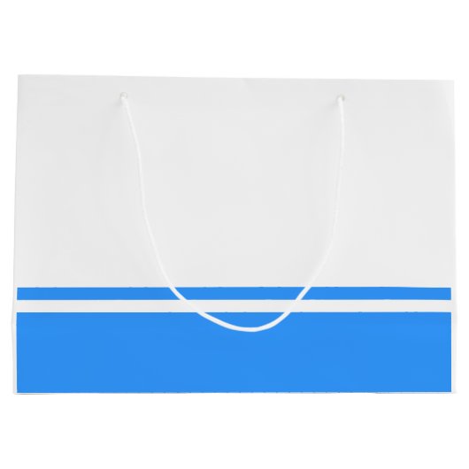 愛国的アルタイ共和国国旗 ラージペーパーバッグ (裏面)