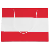 愛国的オーストリア国旗 ラージペーパーバッグ (正面)