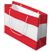 愛国的オーストリア国旗 ラージペーパーバッグ (正面アングル)