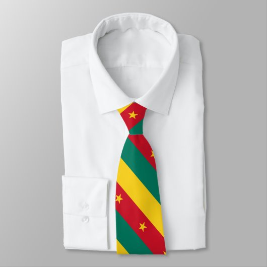 愛国的カメルーン国旗のネクタイ ネクタイ (タイ)