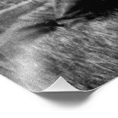 愛国的グループ女性米国国旗1910年頃 フォトプリント            (角)